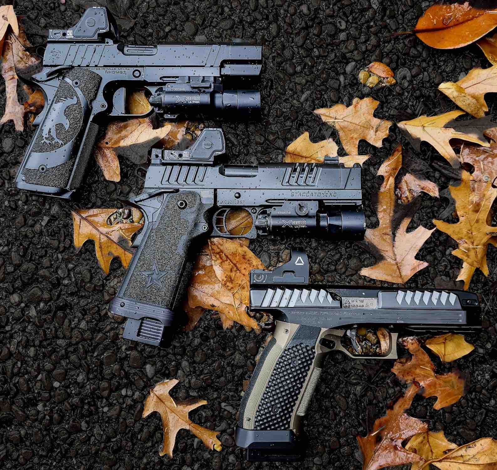 Firearms category